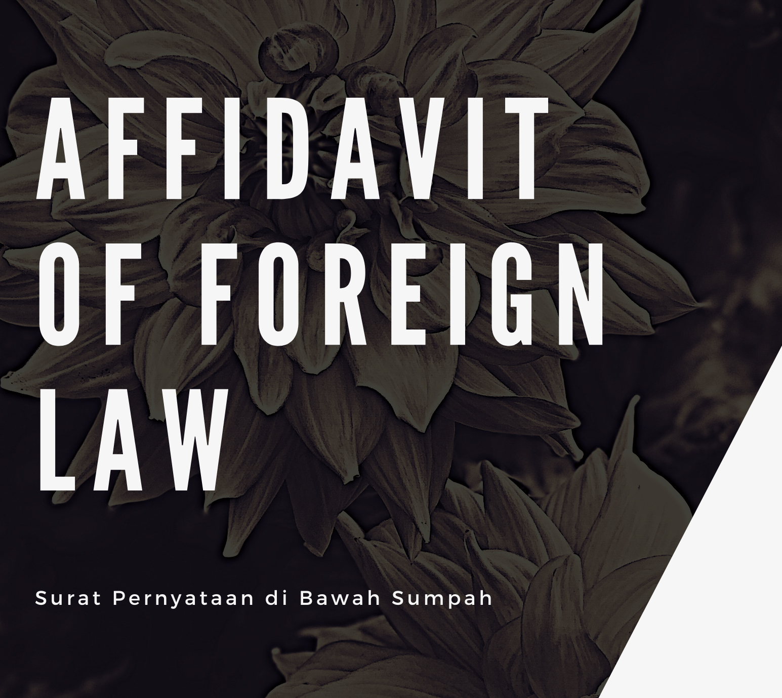 Affidavit of Foreign Law